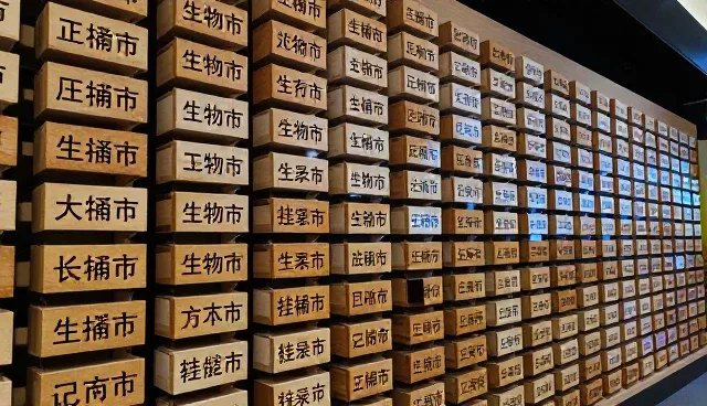prompt的用法详解：AI视频生成内容的创作难题